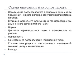 Схема описании макропрепарата
1. (
Локализация патологического процесса в органе при
, )
поражении не всего органа а его участка или система
.
органов
2. ,
Величина органа его фрагмента и его патологически
измененного органа или его части
3. Форма
4. Цветовая характеристика ткани с поверхности на
разрезе
5. Поверхность
6. Консистенция патологически измененной ткани
7. Степень однородности патологически измененной
ткани по цвету и консистенции
8. .
Выводы
 