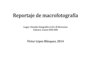  
	
  

Reportaje	
  de	
  macrofotografía	
  
	
  

	
  
Lugar:	
  Estudio	
  fotográfico	
  I.E.S.	
  El	
  Brocense	
  
Cámara:	
  Canon	
  EOS	
  60D	
  
	
  
	
  
	
  

Víctor	
  López	
  Blázquez,	
  2014	
  
	
  
	
  
	
  
	
  
	
  
	
  
	
  

 