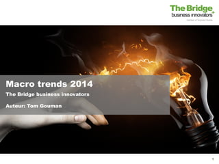 1
Macro trends 2014
The Bridge business innovators
Auteur: Tom Gouman
 