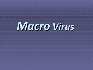 Macro  Virus 
