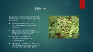 Hierro
Es esencial en la síntesis de clorofila y
participa en las reacciones de oxido-
reducción.
 Su disponibilidad esta muy
asociada al pH de la solución
nutritiva.
 Bajo al pH se incrementa su
disponibilidad y a elevado pH se
magnifica su deficiencia.
 En suelos calcáreos su
disponibilidad se reduce
drásticamente.
 La solución nutritiva contiene de
1.0 a 2.0 ppm, normalmente en la
forma de Fe-EDTA O Fe-DTPA.
 
