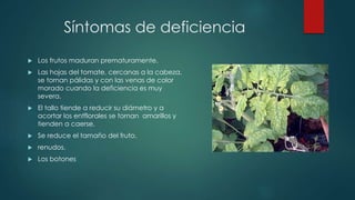 Síntomas de deficiencia
 Los frutos maduran prematuramente.
 Las hojas del tomate, cercanas a la cabeza,
se tornan pálidas y con las venas de color
morado cuando la deficiencia es muy
severa.
 El tallo tiende a reducir su diámetro y a
acortar los entflorales se tornan amarillos y
tienden a caerse.
 Se reduce el tamaño del fruto.
 renudos.
 Los botones
 