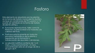 Fosforo
Este elemento es absorbido por las plantas
en la forma de fosfato monovalente (𝐻2 𝑃𝑂4
−
),
aunque en condiciones de PH superior a 7.2
puede ser asimilado en la forma de fosfato
divalente (𝐻𝑃𝑂4
−
).
 Funciones reproductivas, tales como la
floración, la precocidad a la madurez y la
calidad del fruto.
 Participa prácticamente en todos los
procesos metabólicos de la planta y
regulación en la formación y
translocación de azucares y almidones.
 La solución nutritiva contiene de 1 a 2
me/L, y mas comúnmente 1.5 me/L,
concentración esta en el rango de 30 a
60 ppm de P.
 
