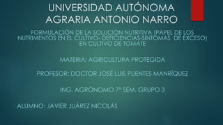 UNIVERSIDAD AUTÓNOMA
AGRARIA ANTONIO NARRO
FORMULACIÓN DE LA SOLUCIÓN NUTRITIVA (PAPEL DE LOS
NUTRIMENTOS EN EL CULTIVO- DEFICIENCIAS-SÍNTOMAS DE EXCESO)
EN CULTIVO DE TOMATE
MATERIA: AGRICULTURA PROTEGIDA
PROFESOR: DOCTOR JOSÉ LUIS PUENTES MANRÍQUEZ
ING. AGRÓNOMO 7° SEM. GRUPO 3
ALUMNO: JAVIER JUÁREZ NICOLÁS
 