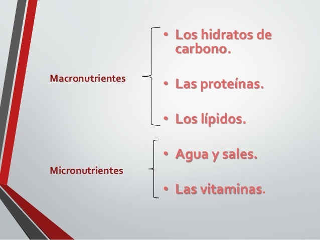 Macro y micronutrientes clasificacion y requerimientos