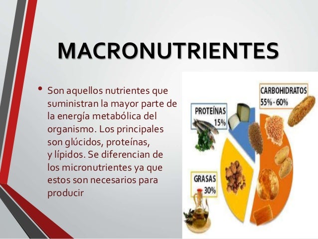 Macronutrientes Y Micronutrientes