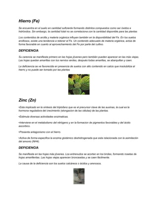 Hierro (Fe)
Se encuentra en el suelo en cantidad suficiente formando distintos compuestos como ser óxidos e
hidróxidos. Sin embargo, la cantidad total no se correlaciona con la cantidad disponible para las plantas
Los contenidos de arcilla y materia orgánica influyen también en la disponibilidad del Fe. En los suelos
arcillosos, existe una tendencia a retener el Fe. Un contenido adecuado de materia orgánica, actúa de
forma favorable en cuanto al aprovechamiento del Fe por parte del cultivo.
DEFICIENCIA
Su carencia se manifiesta primero en las hojas jóvenes pero también pueden aparecer en las más viejas.
Las hojas quedan amarillas con los nervios verdes, después todas amarillas, se abarquillan y caen.
La deficiencia se ve favorecida en presencia de suelos con alto contenido en calcio que insolubiliza al
hierro y no puede ser tomado por las plantas
Zinc (Zn)
•Esta implicado en la síntesis del triptofano que es el precursor clave de las auxinas, la cual es la
hormona reguladora del crecimiento (elongacion de las células) de las plantas.
•Estimula diversas actividades enzimaticas.
•Interviene en el metabolismo del nitrógeno y en la formacion de pigmentos favorables y del ácido
ascorbico.
•Presenta antagonismo con el hierro.
•Activa de forma especifica la enzima glutámico deshidrogenada que esta relacionada con la asimilación
del amonio (NH4).
DEFICIENCIA
Se manifiesta en las hojas más jóvenes. Los entrenudos se acortan en los brotes, formando rosetas de
hojas amarillentas. Las hojas viejas aparecen bronceadas y se caen fácilmente.
La causa de la deficiencia son los suelos calcáreos o ácidos y arenosos.
 