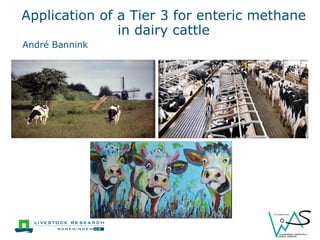 Application of a Tier 3 for enteric methane in dairy cattle 
André Bannink 
 