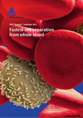 MACSxpress® Isolation Kits
Fastest cell separation
from whole blood
 