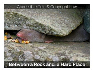 Photo by Gilles Gonthier - Creative Commons Attribution License https://www.flickr.com/photos/46788399@N00 Created with Haiku Deck
 