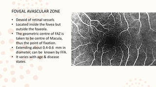FOVEAL AVASCULAR ZONE
• Devoid of retinal vessels
• Located inside the fovea but
outside the foveola.
• The geometric centre of FAZ is
taken to be centre of Macula,
thus the point of fixation.
• Extending about 0.4-0.6 mm in
diameter, can be known by FFA.
• It varies with age & disease
states.
 