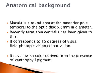  Macula is a round area at the posterior pole
temporal to the optic disc 5.5mm in diameter.
 Recently term area centralis has been given to
this.
 It corresponds to 15 degrees of visual
field,photopic vision,colour vision.
 It is yellowish color derived from the presence
of xanthophyll pigment
 