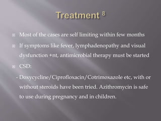 Macular Star.pptx