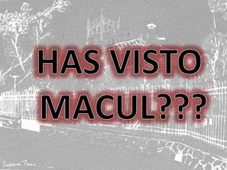 HAS VISTO MACUL