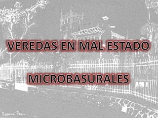 HAS VISTO MACUL