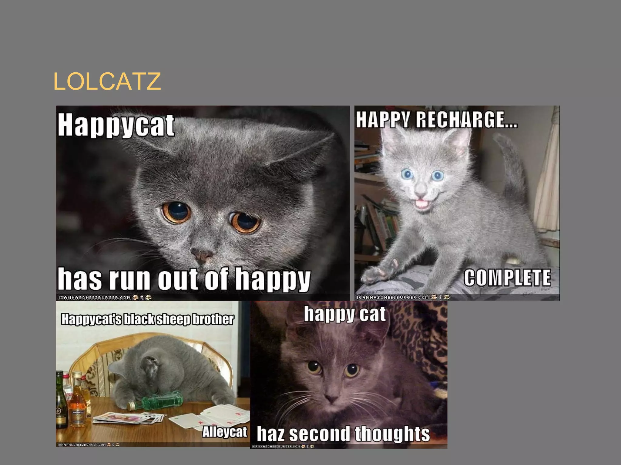 LOLCATZ
 
