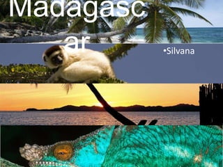 Madagascar ,[object Object],[object Object]