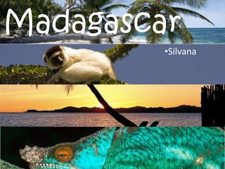 Madagascar ,[object Object],[object Object]