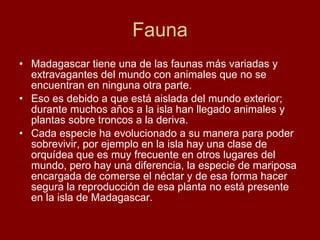 Fauna Madagascar tiene una de las faunas más variadas y extravagantes del mundo con animales que no se encuentran en ninguna otra parte. Eso es debido a que está aislada del mundo exterior; durante muchos años a la isla han llegado animales y plantas sobre troncos a la deriva. Cada especie ha evolucionado a su manera para poder sobrevivir, por ejemplo en la isla hay una clase de orquídea que es muy frecuente en otros lugares del mundo, pero hay una diferencia, la especie de mariposa encargada de comerse el néctar y de esa forma hacer segura la reproducción de esa planta no está presente en la isla de Madagascar. 