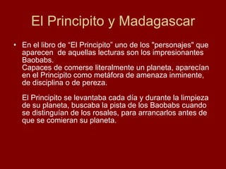 El Principito y Madagascar En el libro de “El Principito” uno de los "personajes" que aparecen  de aquellas lecturas son los impresionantes Baobabs.  Capaces de comerse literalmente un planeta, aparecían en el Principito como metáfora de amenaza inminente, de disciplina o de pereza.  El Principito se levantaba cada día y durante la limpieza de su planeta, buscaba la pista de los Baobabs cuando se distinguían de los rosales, para arrancarlos antes de que se comieran su planeta.  