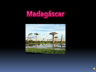 Madagáscar 