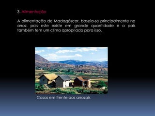 3. AlimentaçãoA alimentação de Madagáscar, baseia-se principalmente no arroz, pois este existe em grande quantidade e o país também tem um clima apropriado para isso.Casas em frente aos arrozais