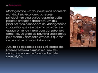 6. EconomiaMadagáscar é um dos países mais pobres do mundo. A sua economia baseia-se principalmente na agricultura, mineração, pesca e produção de roupas. Um dos produtos mais conhecidos de Madagáscar é a baunilha, que vem de uma orquídea e é usada no mundo inteiro para dar sabor aos alimentos. Os grãos de baunilha precisam de pelo menos 2 anos para crescer, o que faz do produto uma especiaria cara. 70% da população do país está abaixo da linha da pobreza e quase metade das crianças menores de 5 anos sofrem de desnutrição. 