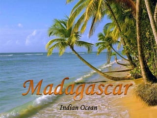 Madagascar Indian Ocean 