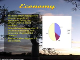 The main part of Madagascar’s economy consists of agriculture, fishing, and forestry ( 70% of export earnings).  Industrial economy consists of textile manufacturing, and processing of agricultural products. Tourism is also a large part of the economy. Economy  