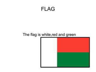 FLAG

The flag is white,red and green

 