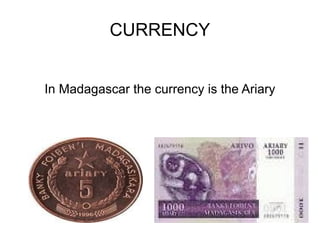 CURRENCY
In Madagascar the currency is the Ariary

 