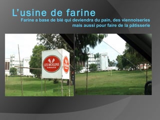 L’usine de farine
Farine a base de blé qui deviendra du pain, des viennoiseries
mais aussi pour faire de la pâtisserie
 