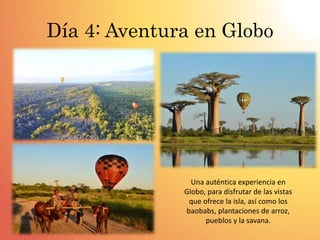 Día 4: Aventura en Globo
Una auténtica experiencia en
Globo, para disfrutar de las vistas
que ofrece la isla, así como los
baobabs, plantaciones de arroz,
pueblos y la savana.
 