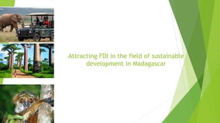 Attracting FDI in the field of sustainable
development in Madagascar
 