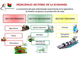 La economía del país está basada mayormente en la agricultura,
la minería, la pesca y la producción de ropa.
SECTOR PRIMARIO
Agricultura
Pesca
Silvicultura
SECTOR SECUNDARIO
Sector Industrial
Petróleo
Montaje de
automóviles
SECTOR TERCIARIO
Turismo
Transporte
Marítimo
 