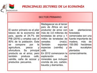 Madagascar es el tercer
país de África en ser
productor de arroz con
más de 3,6 millones de
toneladas de arroz y 1
millón de toneladas de
cereales (maíz).
También exportan
especias (vainilla) y
café.
En 2012 comenzaron la
exploración de
minerales que incluyen
cromita de oro, carbón,
bauxita y diamantes.
El sector primario es el pilar
básico de la economía del
país, aporta el 24,7% del
PIB (2016) y emplea casi al
80% de la población. Este
se compone por la
agricultura, pesca y
silvicultura. Su principal
producto es el arroz, pero
también produce café,
vainilla, caña de azúcar y
productos pecuarios.
SECTOR PRIMARIO
Las plantaciones
forestales
comerciales son una
fuente importante de
madera, más de
150.000 hectáreas
de eucaliptos
plantados
comercialmente.
 