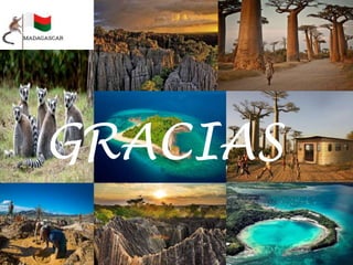 GRACIAS
 
