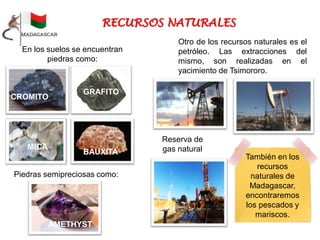 En los suelos se encuentran
piedras como:
CROMITO
GRAFITO
MICA
BAUXITA
Piedras semipreciosas como:
AMETHYST
Otro de los recursos naturales es el
petróleo. Las extracciones del
mismo, son realizadas en el
yacimiento de Tsimororo.
Reserva de
gas natural
También en los
recursos
naturales de
Madagascar,
encontraremos
los pescados y
mariscos.
 