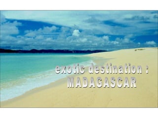 exotic destination : MADAGASCAR 