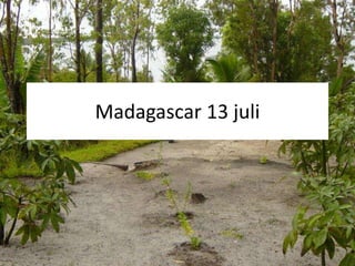 Madagascar 13 juli 