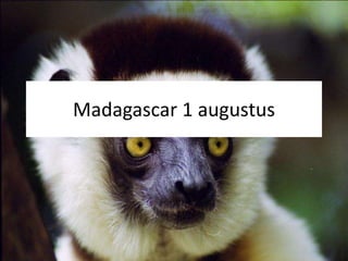Madagascar 1 augustus 