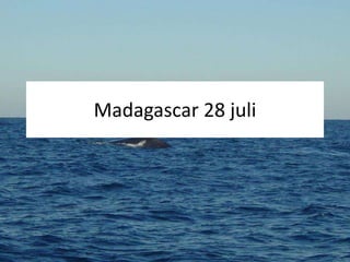 Madagascar 28 juli 