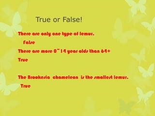 True or False!
There are only one type of lemur.
  False
There are more 0~14 year olds than 64+
True


The Brookesia chameleon is the smallest lemur.
 True
 