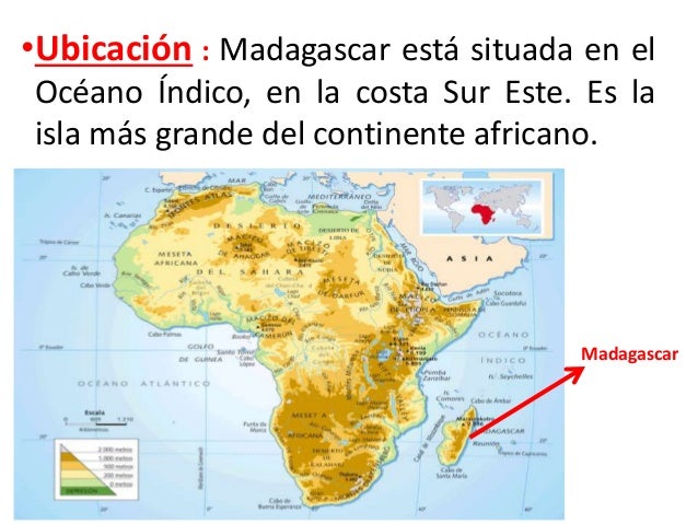 Madagascar flo1
