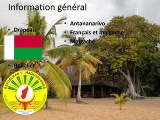Information général
• Drapeau
• Bouclier
• Antananarivo
• Français et malgache
• Malgache
 