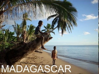Madagascar Nuevo