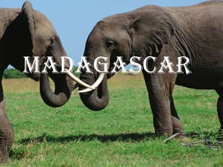 Madagascar
         r
 