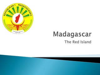 Madagascar The Red Island 