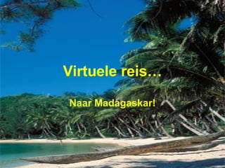 Virtuele reis… Naar Madagaskar! 
