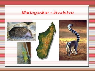 Madagaskar - živalstvo 